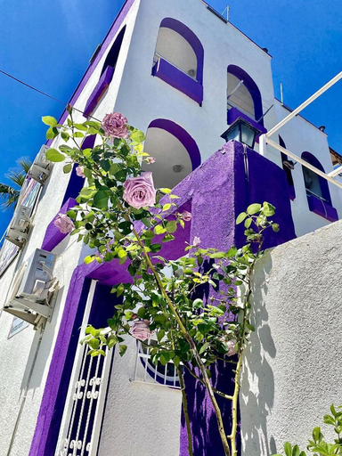 Exterior & Views 2, Nassos Butik Otel ve Restaurant, Ayvacık