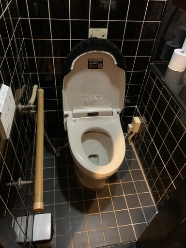 Bathroom 3, Umeda Hotel, Osaka