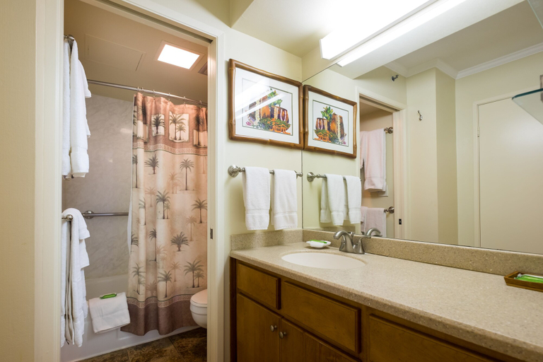 Bathroom 3, Sweetwater at Waikiki, Honolulu
