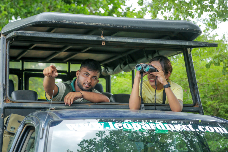 Safari 5, Leopard Nest in Yala, Thissamaharama