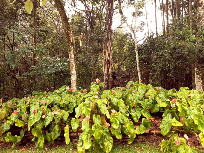 Others 4, Casa Jade, Rionegro