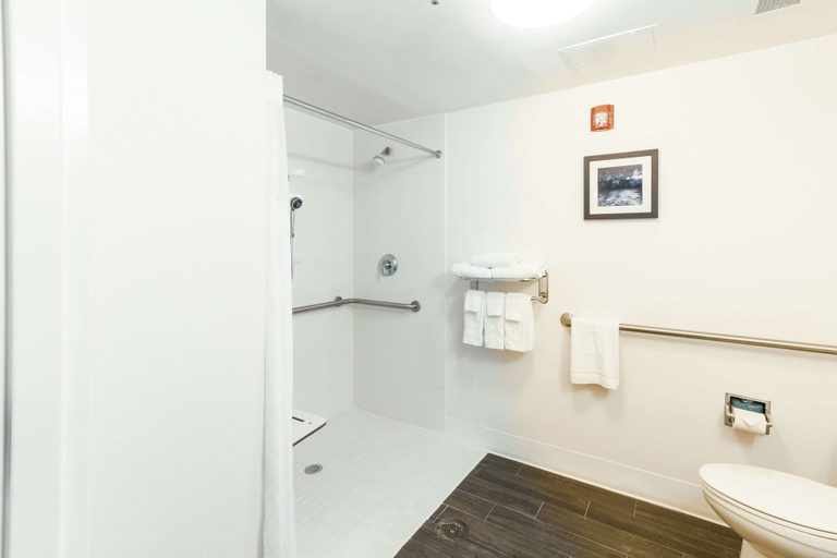Bathroom 4, Hampton Inn & Suites Huntsville Hampton Cove, Madison