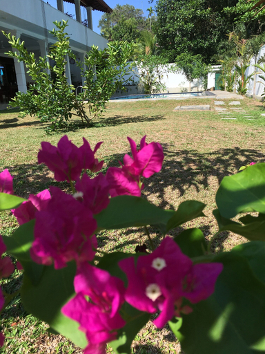Exterior 3, Silence Garden, Hikkaduwa