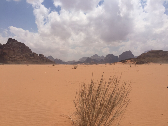 Others 5, Desert Rose Camp Wadi Rum, Aqaba