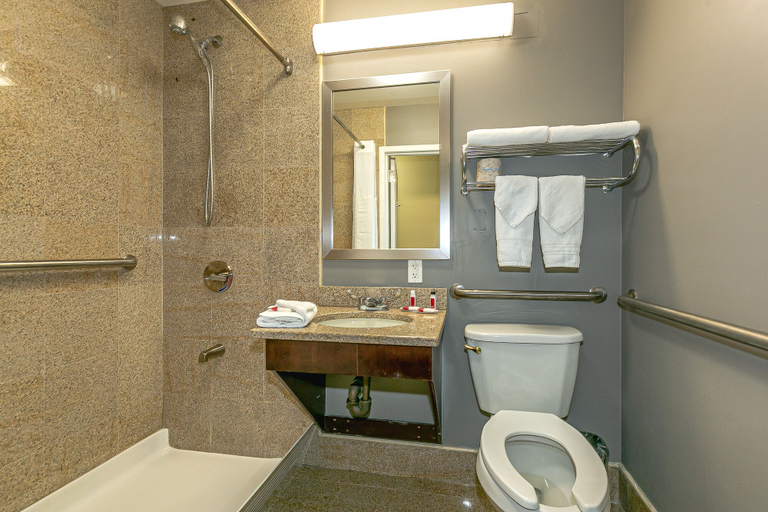 Bathroom 3, Ozone Inn & Suites, New York