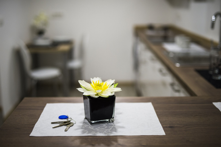 Business Facilities, Guesthouse Urša, Preddvor