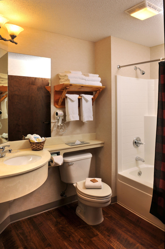 Bathroom 4, Stoney Creek Hotel St. Joseph, Buchanan