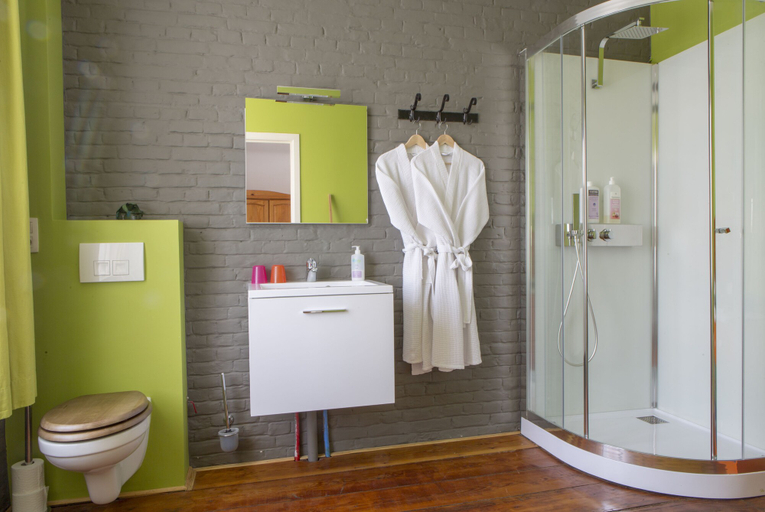 Bathroom 5, BnB Les Greniers de Madelgaire, Hainaut