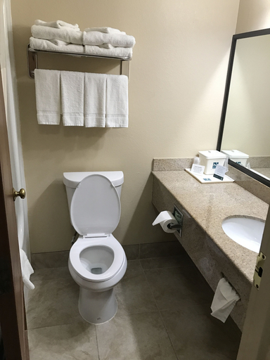 Bathroom 4, Quality Inn Schenectady - Albany, Schenectady