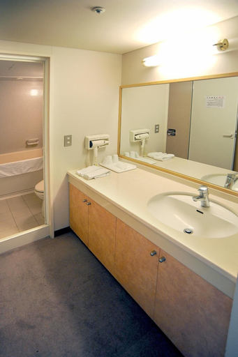 Bathroom 5, Kochi Prince Hotel, Kōchi