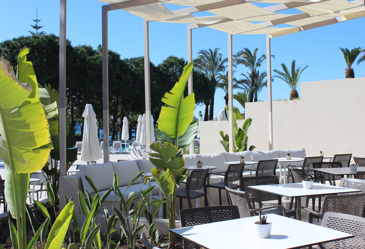 Food & Drinks 5, Paloma Perissia - All Inclusive, Manavgat