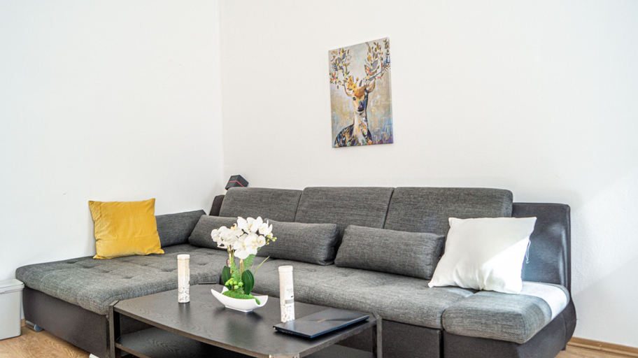 Others 5, Shared Modern Apartment Schönbrunn - Budget Chic Room, Wien