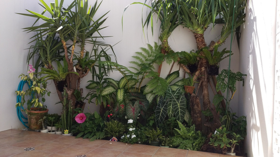 Others 4, Green House, Urasoe