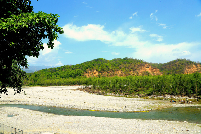 Others 5, voco Jim Corbett by IHG, Nainital