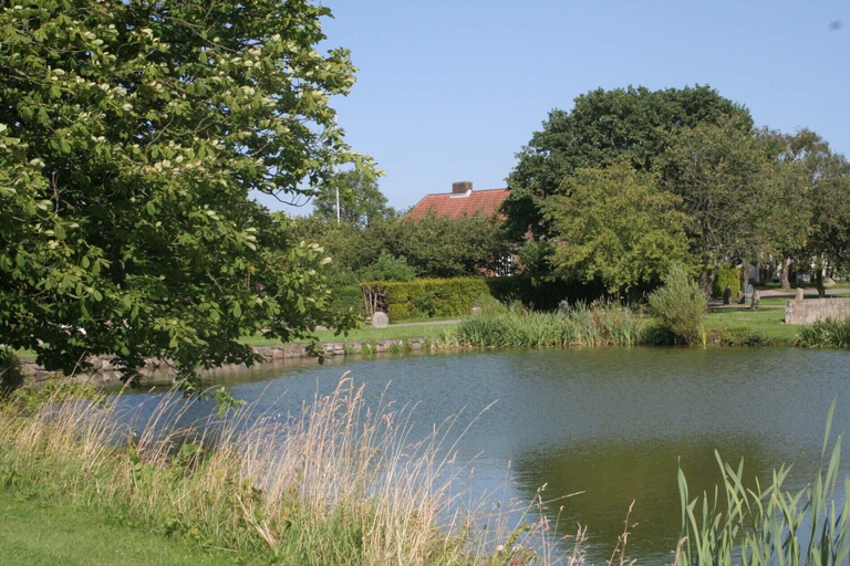 Others 5, Teglgaarden bed and breakfast, Svendborg