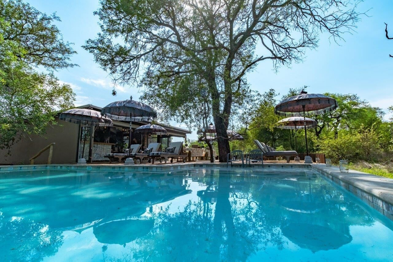 Sport & Beauty 5, Safari Moon Luxury Bush Lodge, Mopani