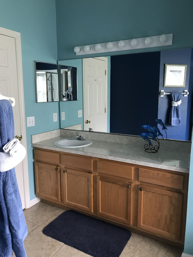 Bathroom 3, 3 Bedroom Pool Home, Polk
