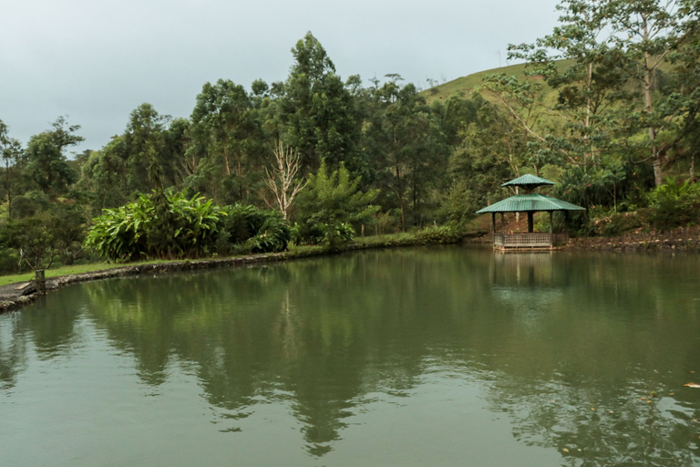 Exterior & Views 2, Malekus Mountain Lodge, Upala