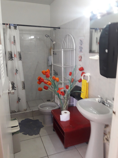 Bathroom 5, Palmita Hotel Hostel