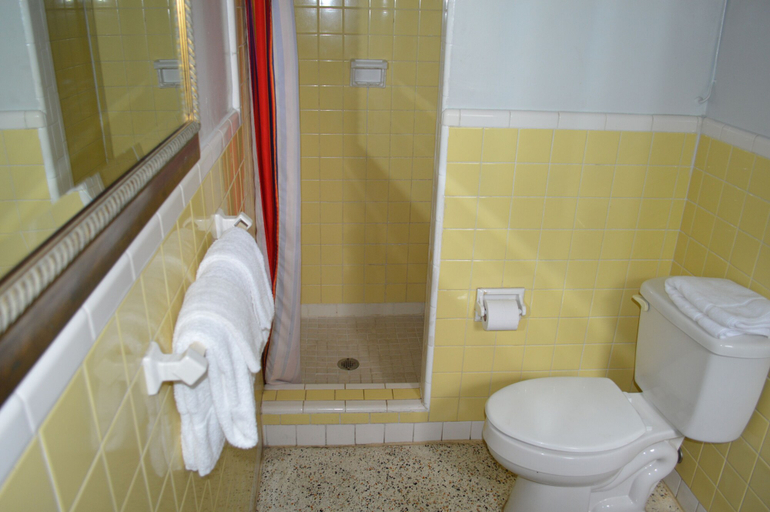 Bathroom 3, Tropicana Motel Wauchula, Hardee