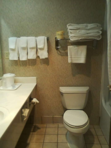 Bathroom 4, Quality Inn & Suites Big Stone Gap, Wise