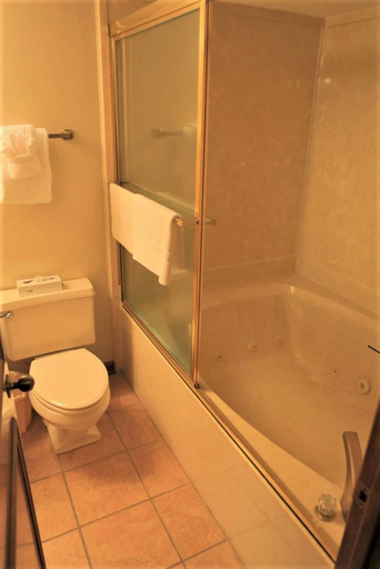 Bathroom 4, Royal Holiday Beach Resort, Harrison