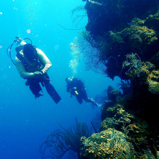 Others 5, Itza Resort