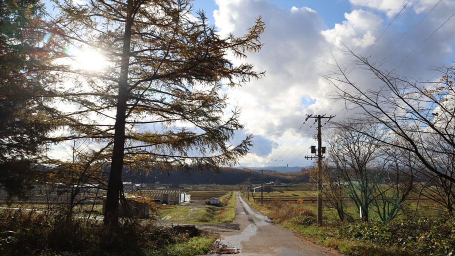 Others 5, MAPLE FARM, Biei