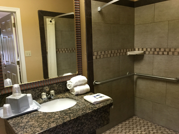 Bathroom 4, Texas Inn Alamo, Hidalgo