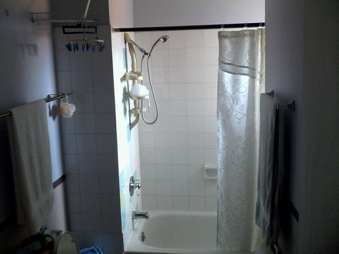 Bathroom 4, New Kingston Guest Apartment III