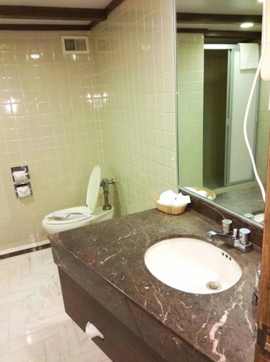 Bathroom 4, Segovia Regency Hotel, Mexico City