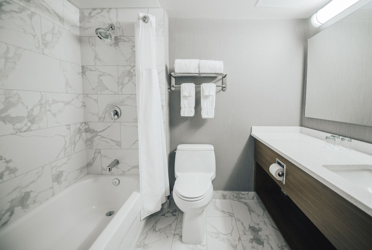 Bathroom 3, The Explorer Hotel Yellowknife, Fort Smith