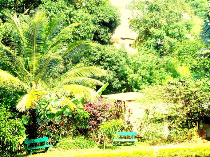 Others 5, Paradise Inn, K.F.G. & G. Korale