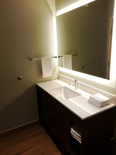 Bathroom 4, Staybridge Suites GUADALAJARA NOVENA, Guadalajara