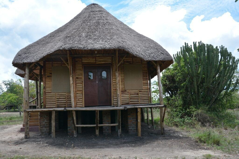 Exterior & Views 4, Forest Hog Safari Lodge, Busongora