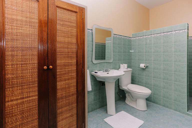 Bathroom 5, Turtle Bay Dive Resort, Moalboal