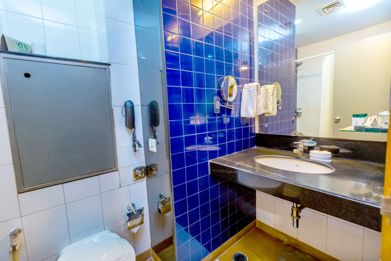 Bathroom 4, Capitol Hill, Ranchi