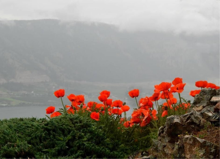Others 5, Misty Mountain B&B, Central Okanagan