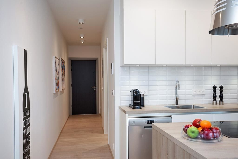 Others 5, Salka Suites, Reykjavík