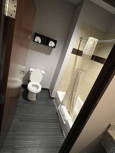 Bathroom 4, Regency INN & Suites, Houston