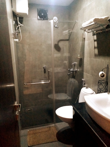 Bathroom 5, JW Heritage, North Goa