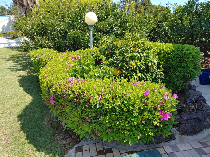 Others 5, Gyul House, Seogwipo