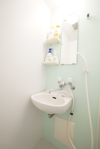 Bathroom 3, Terry's Apartment Namba South V C01C, Osaka
