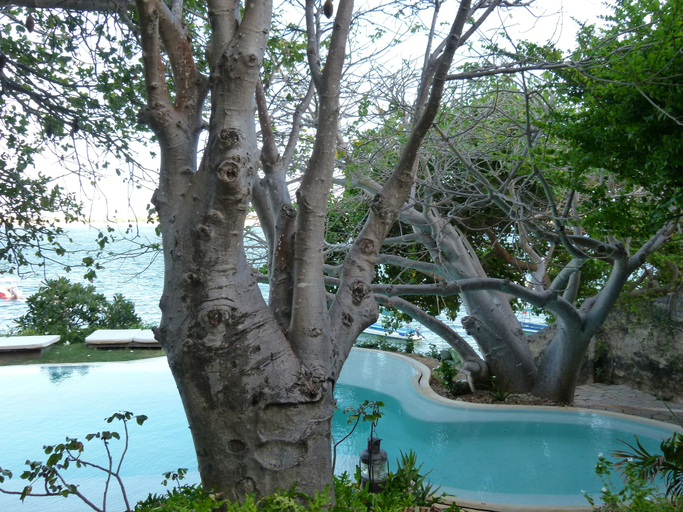 Sport & Beauty 5, Peponi Hotel, Lamu West