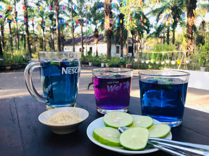 Food & Drinks 5, Palm Garden House, Đông Hà