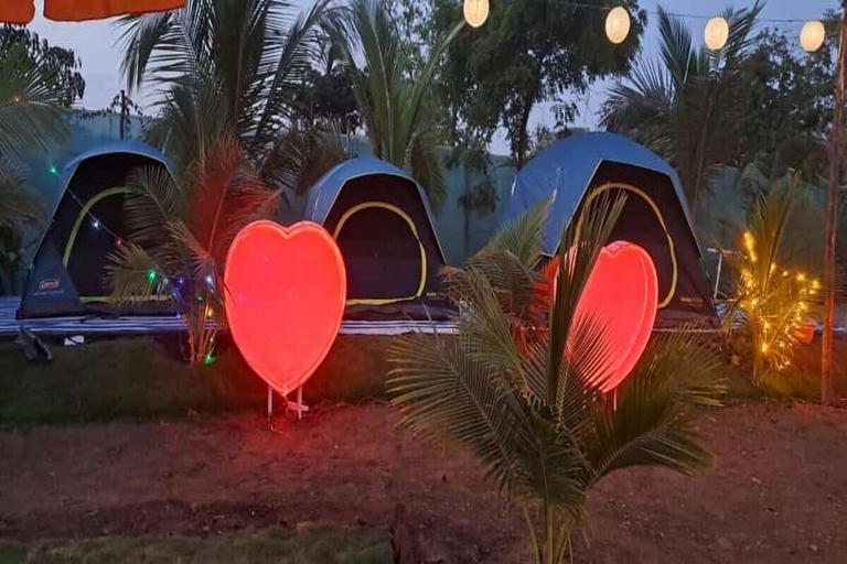 Others 5, Starlight Resort, Raigarh
