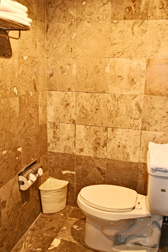 Bathroom 4, Hotel Plaza Inn, Ahome
