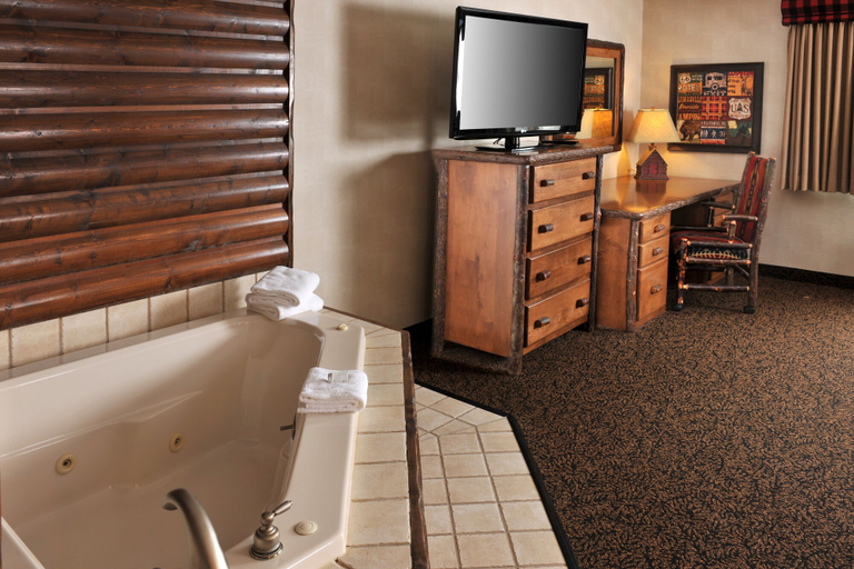 Bathroom 4, Stoney Creek Hotel St. Joseph, Buchanan