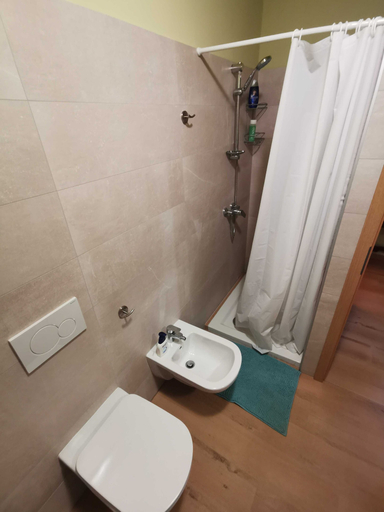 Bathroom, Apartment Baladur, Oprtalj