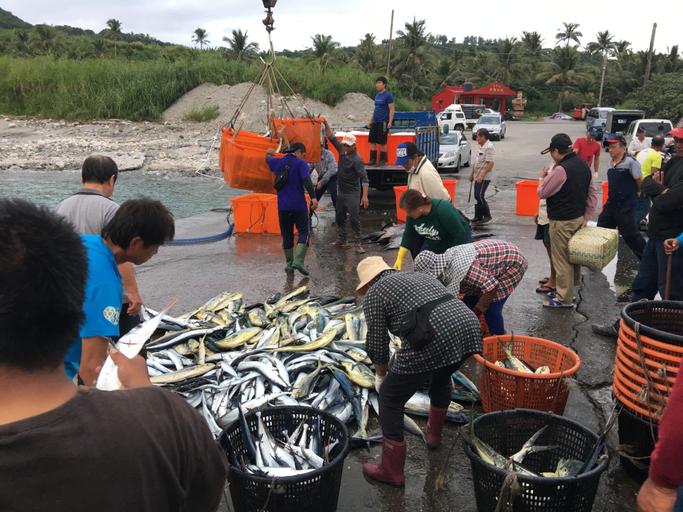 Food & Drinks 5, Tiin Tinn, Taitung